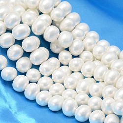 Oval Shell Pearl Bead Strands, White, 12.5x11x10mm, Hole: 1~1.2mm, about 39pcs/strand, 15.74 inch(BSHE-L013-S-A013A)