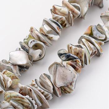 Natural Shell Bead Strands, Dyed, Nuggets, Light Grey, 10~20x8~12x3~6mm, Hole: 1mm, about 15.7 inch