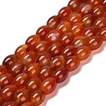 Natural Agate Beads Strands, Bongo Shape, Dyed & Heated, Drum, Orange Red, 13~14x10mm, Hole: 1.2mm, about 28pcs/strand, 15.16''(38.5cm)