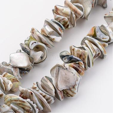 10mm LightGrey Nuggets Other Sea Shell Beads