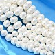 Oval Shell Pearl Bead Strands(BSHE-L013-S-A013A)-1