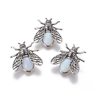 Opalite Brooches, with Brass Findings, Cicada, Antique Silver, 38x36x8mm, Pin: 0.6mm(G-A176-D12)