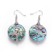 Abalone Shell/Paua Shell Flat Round with Tree of Life Dangle Earrings, Brass Wire Wrapped Drop Earrings for Women, Platinum, 50.5~51mm, Pin: 0.6mm(EJEW-SZ0001-67A)
