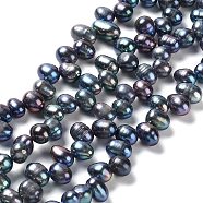 Natural Cultured Freshwater Pearl Beads Strands, Rice, Dyed, Prussian Blue, 7~8x6~7mm, Hole: 0.7mm, about 65~68pcs/strand, 13.98~14.37 Inch(35.5~36.5cm)(PEAR-J007-31)