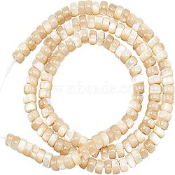 1 Strand Natural Trochid Shell/Trochus Shell Beads Strands, Flat Round/Disc, Heishi Beads, BurlyWood, 4x2mm, Hole: 0.7mm, about 196~197pcs/strand, 15.75 inch(40cm)(BSHE-NB0001-18)