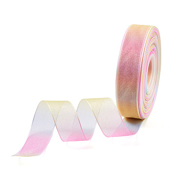 BEADTHOVEN Polyester Organza Ribbons, Colorful, 2.5cm, about 50yards/roll(45.72m/roll)