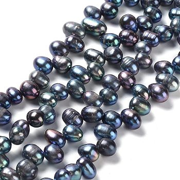 Natural Cultured Freshwater Pearl Beads Strands, Rice, Dyed, Prussian Blue, 7~8x6~7mm, Hole: 0.7mm, about 65~68pcs/strand, 13.98~14.37 Inch(35.5~36.5cm)