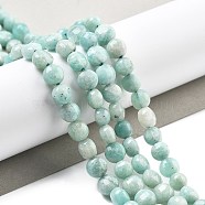 Natural Amazonite Beads Strands, Faceted, Flat Round, 6~6.5x4.5~5.5mm, Hole: 0.8~1mm, about 65pcs/strand, 15.39~15.55 inch(39.1~39.5cm)

(G-C179-J01-01)