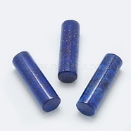 Natural Lapis Lazuli Beads, Undrilled/No Hole Beads, Dyed, Column, 35x11mm(G-G760-L17)