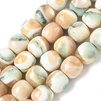 Natural Seashell Shell Beads Strands, Dyed, Smooth Round, Floral White, 10mm, Hole: 0.9mm, about 38pcs/strand, 14.96''(38cm)