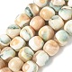 Natural Seashell Shell Beads Strands(SH-CBAFEDD-01B)-1