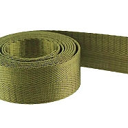 Nylon Ribbons, Herringbone Weave Ribbon, Olive, 1 inch(25mm), about 2m/strand(NWIR-WH0009-09K)