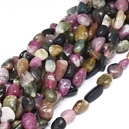 Natural Tourmaline Beads Strands, Chip, 6~12x7~8x4~5mm, Hole: 0.8mm, about 47pcs/Strand, 15.75 inch(40cm)(X-G-D0004-A02-06)