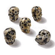Natural Dalmatian Jasper Beads, Halloween Skull, 11~11.5x8.5~9x11~11.5mm, Hole: 0.9~1mm(G-C038-01R)