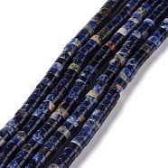 Natural Sodalite Beads Strands, Flat Round, 6x3mm, Hole: 1mm, about 121pcs/strand, 15.35 inch(39cm)(G-C240-04A)