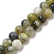 Natural Green Opal Beads Strands, Round, 8mm, Hole: 0.8mm, about 48pcs/strand, 15.35''(39cm)(G-R494-A11-03)