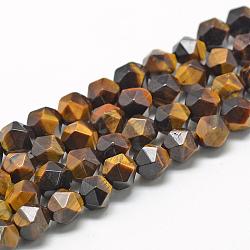 Natural Tiger Eye Beads Strands, Star Cut Round Beads, Faceted, 8~10x7~8mm, Hole: 1mm, about 48pcs/strand, 15.3 inch(G-R448-8mm-04)