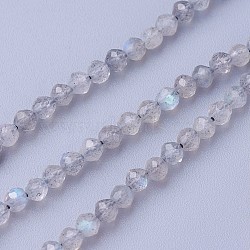 Natural Labradorite Beads Strands, Faceted, Round, 2~2.5mm, Hole: 0.5mm, about 180~200pcs/strand, 14.5~16.1 inch(37~41cm)(G-F619-15-2mm)