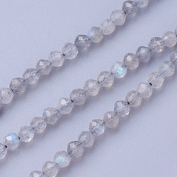 Natural Labradorite Beads Strands, Faceted, Round, 2~2.5mm, Hole: 0.5mm, about 180~200pcs/strand, 14.5~16.1 inch(37~41cm)