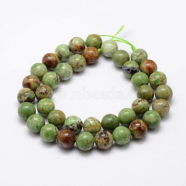 Natural Green Opal Beads Strands(G-K209-04B-10mm)-2