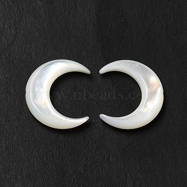 Natural White Shell Beads(BSHE-E026-11)-3