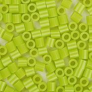 1 Box 5mm Melty Beads PE DIY Fuse Beads Refills for Kids, Tube, Green Yellow, 5x5mm, Hole: 3mm, about 500pcs/box(DIY-X0047-48-B)