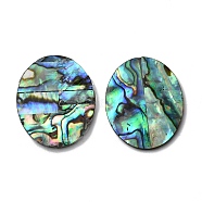 Natural Paua Shell Cabochons, Single-Sided Shell Cabochons, Oval, 26x21x1mm(SHEL-WH0002-08A)