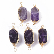 Natural Amethyst Links connectors, Brass Wire Wrapped Links, Faceted, Column, Golden, 22.5~32x9~12x8~9mm, Hole: 1.2mm(X-G-T131-04C)