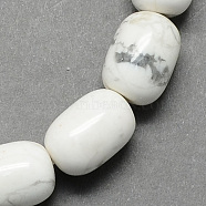 Barrel Shaped Gemstone Natural Howlite Stone Beads Strands, White, 15x10mm, Hole: 1mm, about 25pcs/strand, 15.3 inch(G-S114-29)