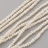 Natural Cultured Freshwater Pearl Beads Strands, Potato, Antique White, 2.5~3x1.5~1.8mm, Hole: 0.5mm, about 210pcs/strand, 15.5~15.7 inch(39.5~40cm)(PEAR-G007-43-01)