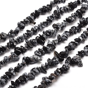 Snowflake Obsidian Chip Bead Strands, 5~8x5~8mm, Hole: 1mm, about 31.5 inch