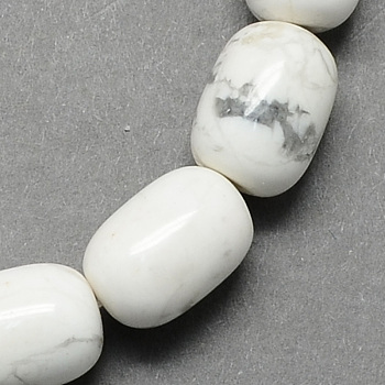 Barrel Shaped Gemstone Natural Howlite Stone Beads Strands, White, 15x10mm, Hole: 1mm, about 25pcs/strand, 15.3 inch