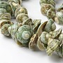 Natural Shell Bead Strands, Dark Sea Green, 10~15x9~17x6~10mm, Hole: 1mm, about 78pcs/strand, 15.7 inch