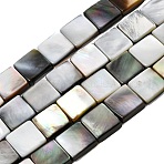 Natural Black Lip Shell Beads Strands, Square, 10~10.5x10~10.5x3.5mm, Hole: 0.5mm, about 40pcs/strand, 15.94''(40.5cm)(SHEL-A006-09A)