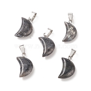Natural Larvikite Pendants, with Platinum Tone Brass Findings, 21~24x12~14x5~6mm, Hole: 2x7mm(G-Q369-16)