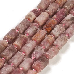 Natural Plum Blossom Tourmaline Beads Strands, with Seed Beads, Faceted, Column, 5.5~7.5mm, Hole: 0.7mm, about 26~33pcs/strand, 15.67''~16.46''(39.8~41.8cm)(G-M403-B25)