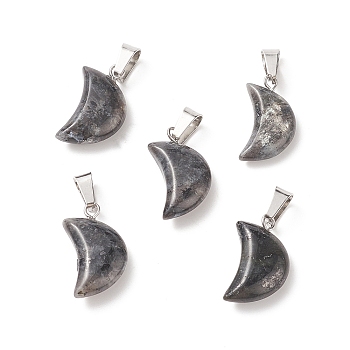 Natural Larvikite Pendants, with Platinum Tone Brass Findings, 21~24x12~14x5~6mm, Hole: 2x7mm