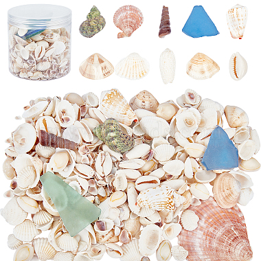 бусины из натуральных ракушек и бусины из морского стекла(SSHEL-PH0001-11)-2