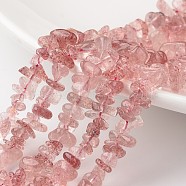Chip Natural Strawberry Quartz Bead Strands, Dyed & Heated, Grade A+, 7~12x5~8x2~5mm, Hole: 1mm, about 15.7 inch(G-M349-02)