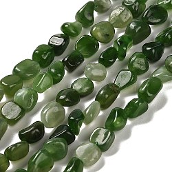 Dyed Natural White Jade Beads Strands, Nuggets, Tumbled Stone, Green, 7~13x4.5~10x4.5~10mm, Hole: 1.2mm, about 44~46pcs/strand, 15.08''~16.14''(38.3~41cm)(G-P497-01E-49)