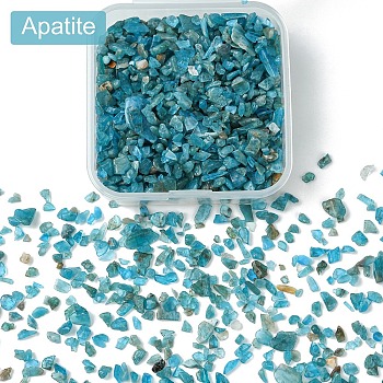 60G(672pcs) Natural Apatite Chip Beads, No Hole/Undrilled, 2~12x2~10x1~3mm