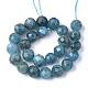 Natural Apatite Beads Strands(G-S345-10mm-008)-2