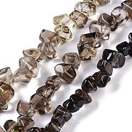 Natural Smoky Quartz Beads Strands, Nuggets, 8.5~12x6.5~8.5x6.5~8mm, Hole: 1.2mm, 15.55~15.94''(39.5~40.5cm)(G-B072-A01-01)