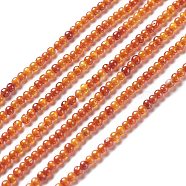 Cubic Zirconia Bead Strands, Round, Orange, 2~2.5mm, Hole: 0.6mm, about 193pcs/strand, 14.57~15.08 inch (37~38.3cm)(ZIRC-C029-01E)