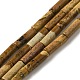 Natural Picture Jasper Beads Strands(G-D464-20)-1