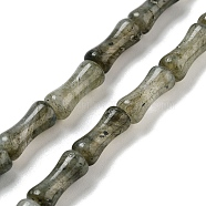 Natural Labradorite Beads Strands, Bamboo Joint, 12x5x4mm, Hole: 1mm, about 32pcs/strand, 14.96''(38cm)(G-Q178-A09-01)