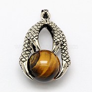 Vintage Natural Bezel Tiger Eye Pendants, with Antique Silver Plated Alloy Findings, Animal Claw with Round Beads, 37x25x16mm, Hole: 5x3mm(G-M038-03C)