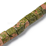 Natural Unakite Beads Strands, Hexagonal Prism, 9~11x12x13.5~14mm, Hole: 1.2mm, about 20pcs/strand, 7.64~8.70 inch(19.4~22.2cm)(G-F743-03F)