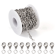DIY Chain Necklace Bracelet Making Kit, Including 304 Stainless Steel Figaro Chains & Lobster Claw Clasps & Jump Rings, Stainless Steel Color, Chain: 5M/bag(DIY-TA0005-38)