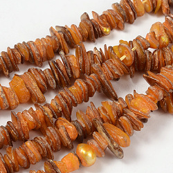 Natural Shell Beads Strands, Chips, Dyed, Orange, about 6~15mm, 1~5mm thick, hole: 1mm, about 190pcs/strand, 15 inch(PBB226Y-1)